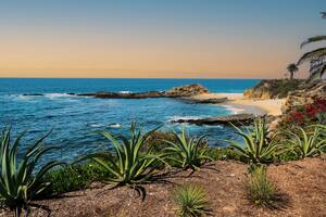 El emblemático paisaje de la costa californiana podría transformarse negativamente en las próximas décadas