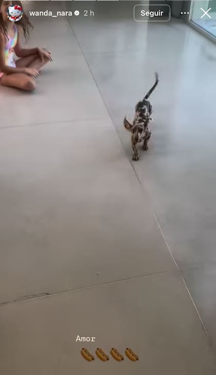 El emotivo reencuentro entre Wanda Nara y su perro Cookie (Captura: Instagram @wanda_nara)