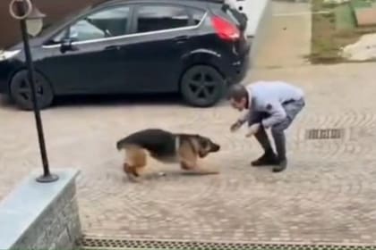 El emotivo vídeo se volvió viral y ya supera los 20 millones de visualizaciones en TikTok (Foto: Captura de Pantalla TikTok: @will.i.aint_3.0)