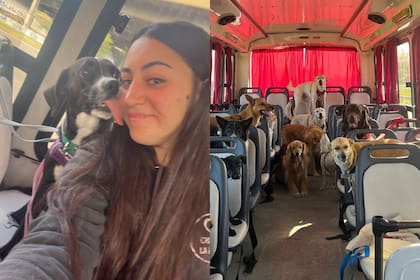 El emprendimiento de Bárbara se volvió viral en TikTok
