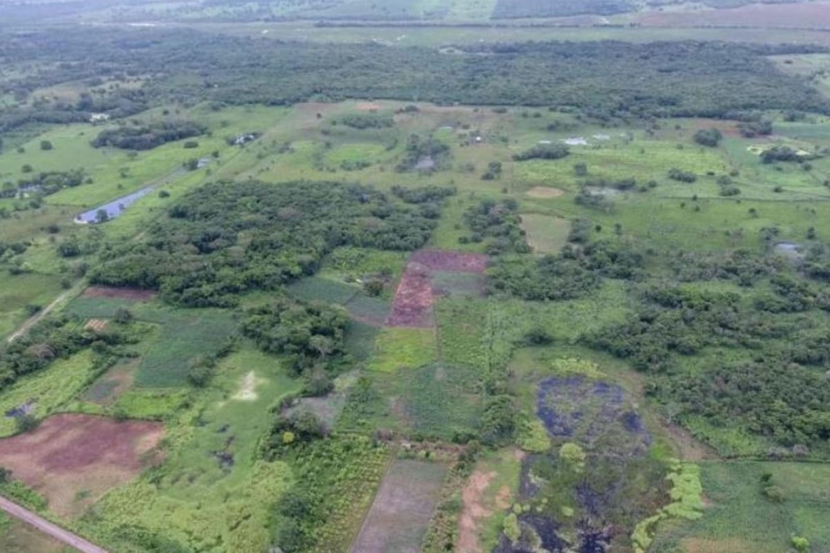 El enclave, llamado Aguada Félix, se encuentra en el estado mexicano de Tabasco y tiene alrededor de 3000 años de antigüedad