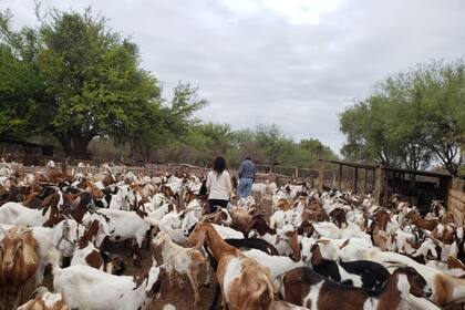 El encuentro contará con la participación del INTA, universidades y funcionarios del Ministerio de Bioagroindustria de Córdoba