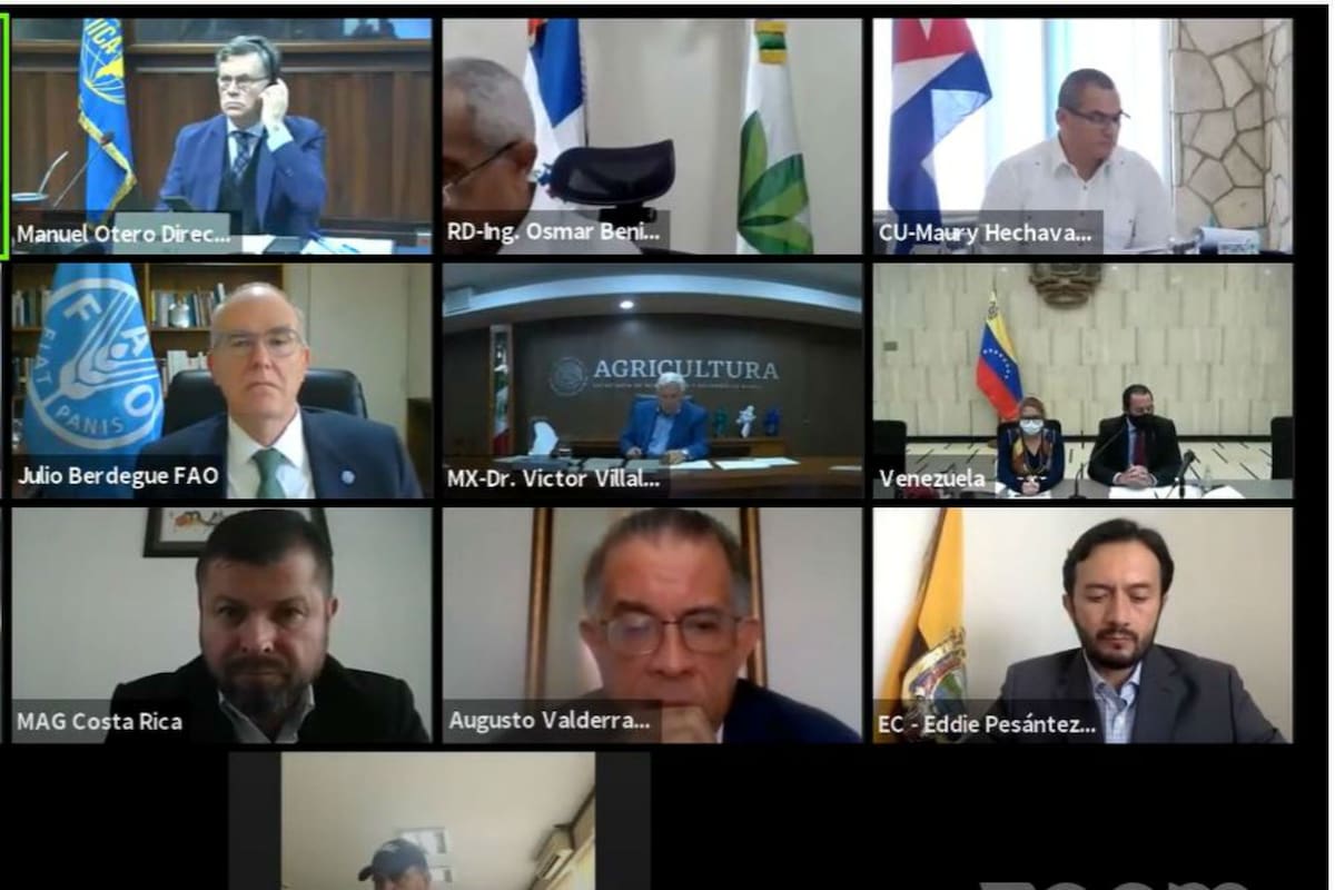 El encuentro de ministros y secretarios de Agriculturas de las Américas fue por Zoom