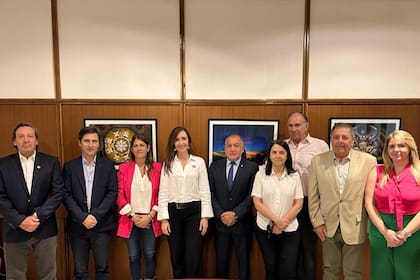El encuentro de Villarruel con los senadores de Pro