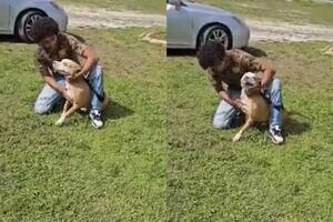 El encuentro entre un hombre y su perra después de 2 años