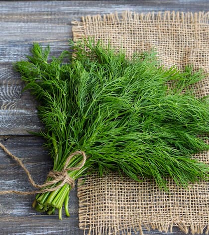El eneldo contiene antioxidantes naturales