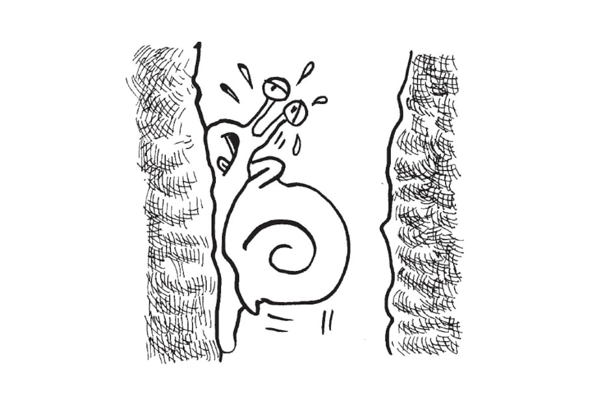 El enigma del caracol