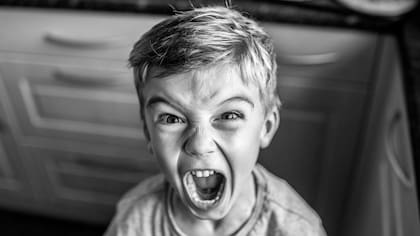 El enojo es una de las emociones características que se expresan con gritos, pero no es la única