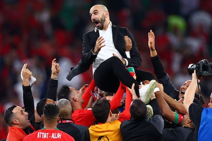 El entrenador de Marruecos, Walid Regragui, es lanzado al aire por sus jugadores mientras celebran la victoria en el partido de fútbol de cuartos de final del Mundial Qatar 2022