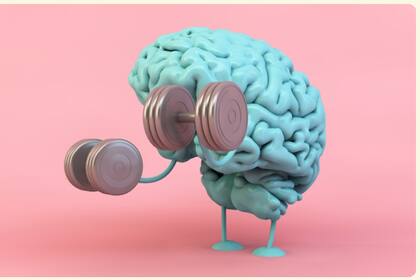 El entrenamiento del cerebro es clave para que nuestra memoria esté activa