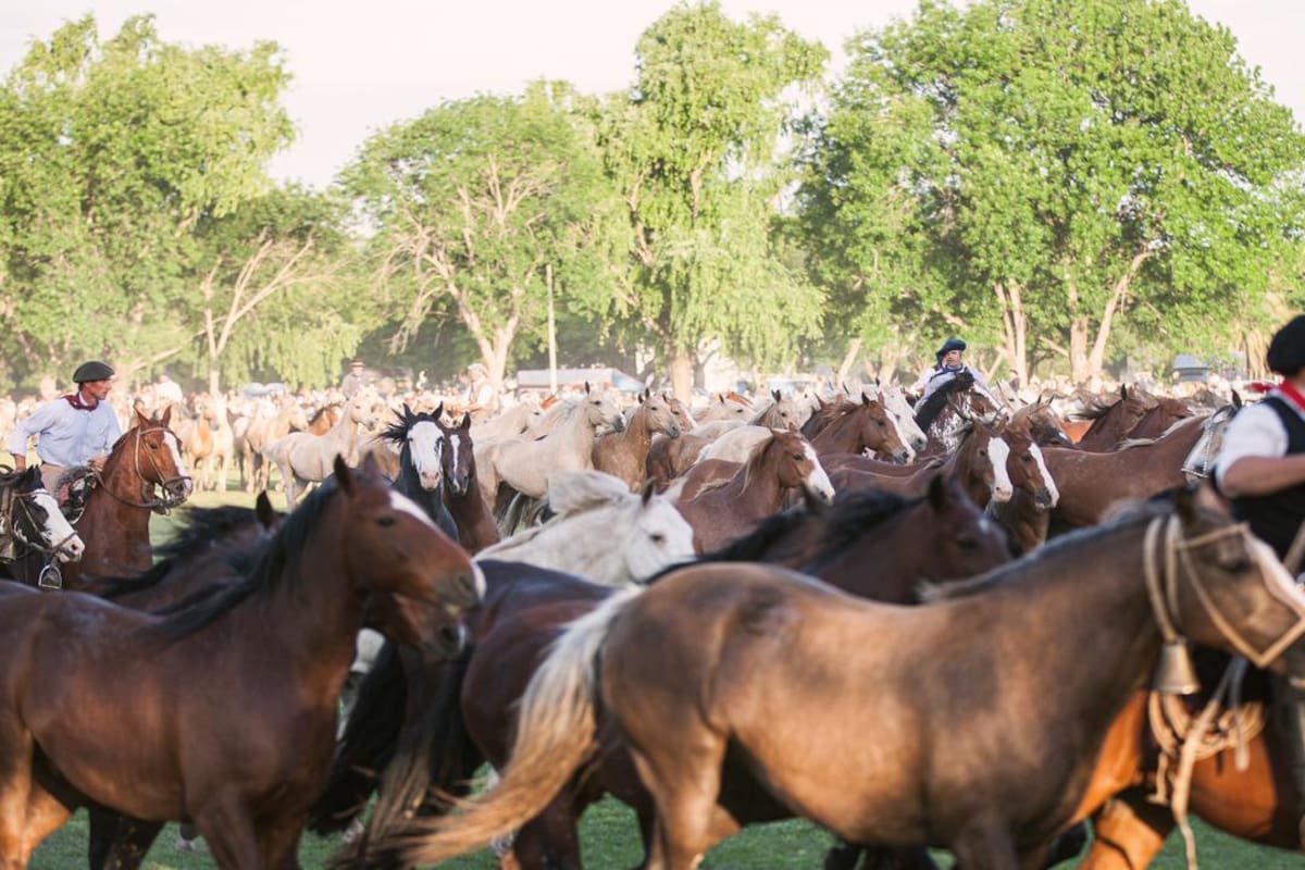 El entrevero de tropillas vuelve a escena para homenajear a Ricardo Güiraldes a 100 años de Don Segundo Sombra