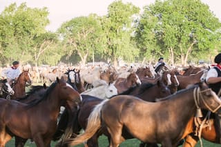 San Antonio de Areco celebra los 100 años de Don Segundo Sombra