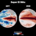 Calor anómalo y lluvias: qué puede provocar la llegada de El Niño en la Argentina