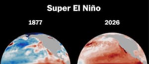 Calor anómalo y lluvias: qué puede provocar la llegada de El Niño en la Argentina