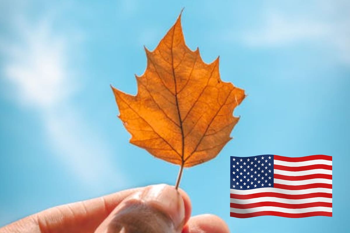 El equinoccio de otoño 2025 marca el fin del verano en Estados Unidos (Pexels/Matt Bignon)