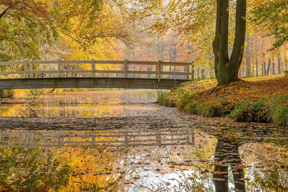 El equinoccio de otoño 2026 será a mediados de marzo