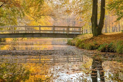 El equinoccio de otoño 2026 será a mediados de marzo