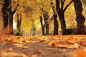 El equinoccio de otoño en 2025 será el 20 de marzo