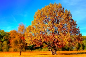 El equinoccio de otoño está por llegar a la Tierra y los signos zodiacales tienen que estar prevenidos
