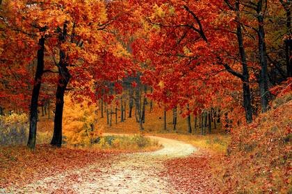 El equinoccio de otoño marca el cambio de estaciones en el hemisferio norte el 22 de septiembre (Pexels/Pixabay)