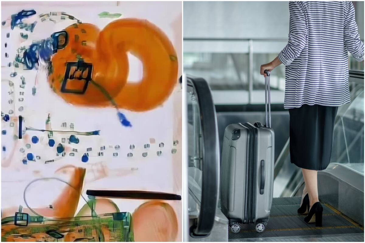 El equipaje de mano tenía un curioso animal dentro