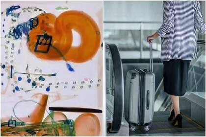 El equipaje de mano tenía un curioso animal dentro