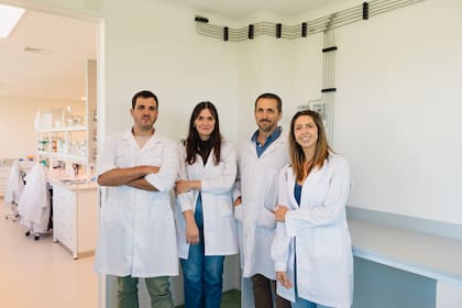 El equipo desarrollador