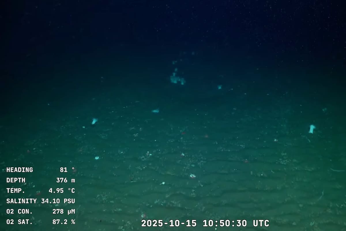 El equipo científico investiga la interacción entre corrientes y cañones submarinos en el Frente del Quiebre de Plataforma