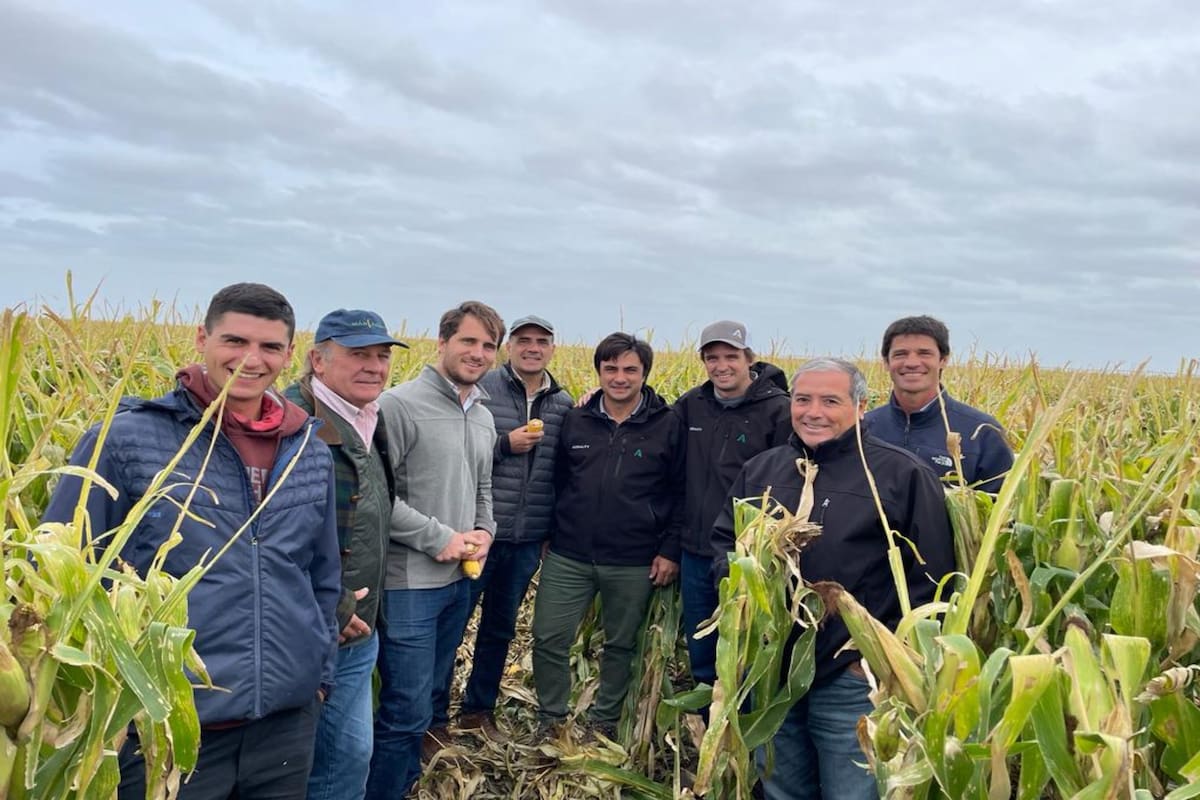 El equipo de Agrality en el campo experimental de producción de semillas en Río Negro