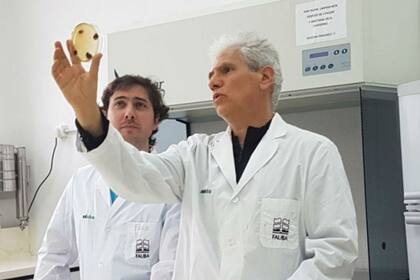 El equipo de investigación incluyó profesionales de Fauba y el INTA