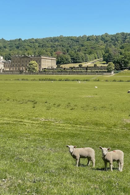 El equipo de jardinería de Chatsworth afirma que estuvieron adoptando nuevas estrategias de gestión del agua