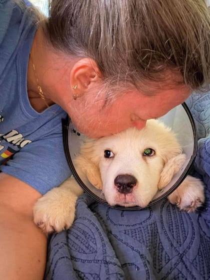 El equipo de rescate destacó que la cachorra es joven y tiene buenas perspectivas de recuperación (Foto: ThisIsHouston)