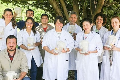 El equipo de trabajo que llevó adelante la investigación