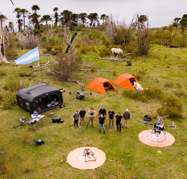 Tecnología y genética local: prueban siembra aérea con drones para reforestar el Parque Nacional Lanín