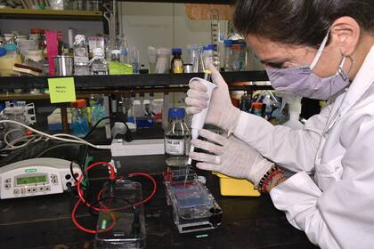 El equipo del INTA trabaja con una plataforma basada en nanotecnología.