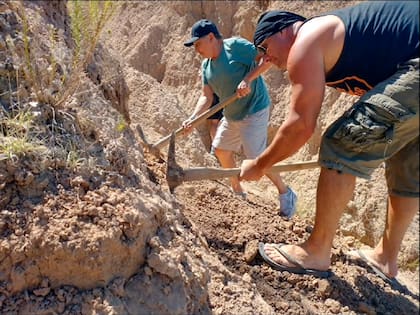 El equipo del museo se compuso de seis expedicionarios y lamentablemente no se hallaron más restos del dientes de sable