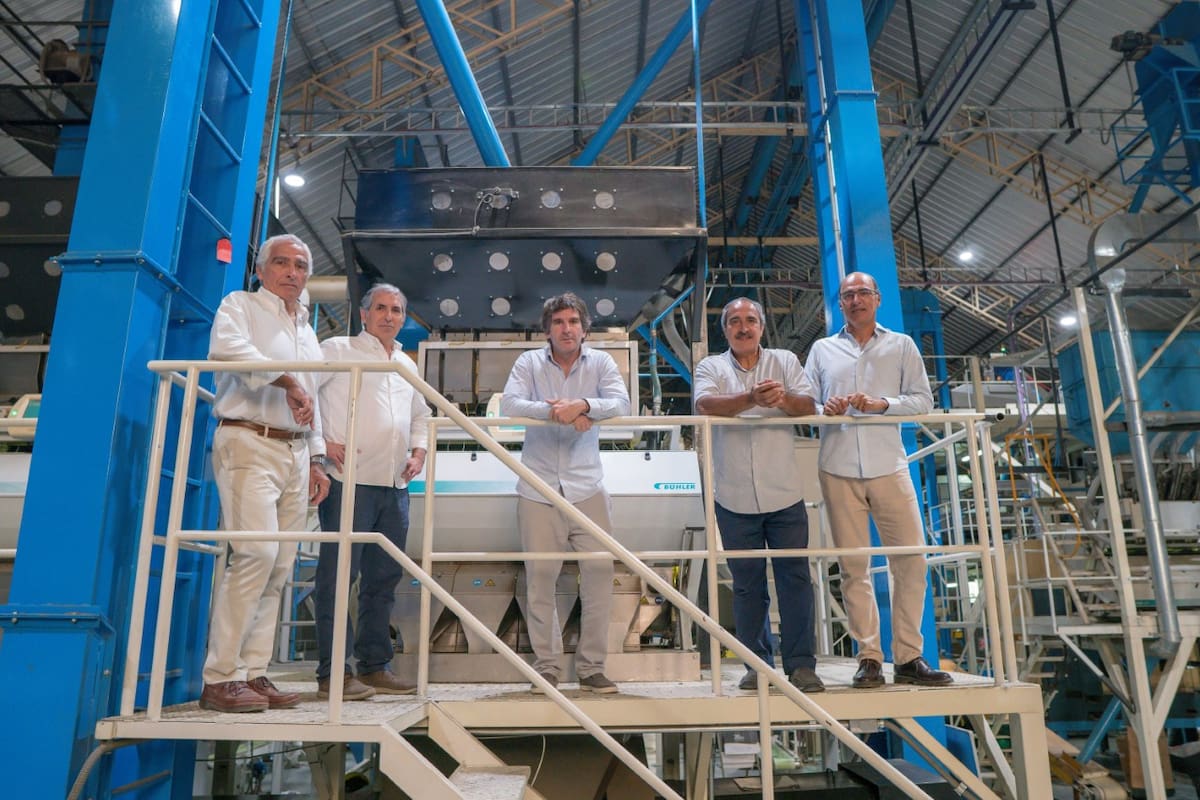 El equipo directivo de la empresa en la planta de Luján: de izquierda a derecha, gerente general, Javier Diaz Colodrero; Javier Gomez Carrillo; Pablo Tamburo CEO Argensun, Fernando Diaz Colodrero y Pablo Diaz Colodrero.