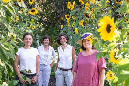 El equipo femenino en la huerta de espárragos y alcauciles. De izquierda a derecha, Ana, Mele, Valeria y Susana.