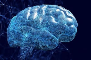 El equipo tomó imágenes cerebrales a 28 personas con TEPT mientras escuchaban narraciones grabadas de sus propios recuerdos. Algunos eran neutros, otros simplemente “tristes” y otros traumáticos