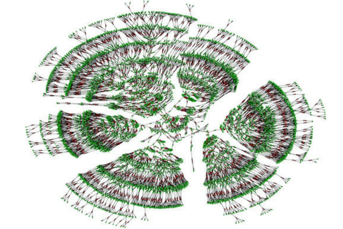 El equipo utilizó el análisis matemático para organizar los datos, lo que resultó en un amplio árbol genealógico interconectado que abarca 11 generaciones en promedio