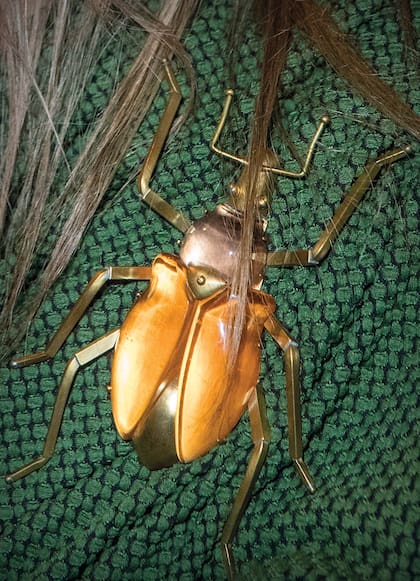 El escarabajo, en detalle.