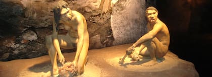 El espacio Evolución Humana transita las el complejo proceso evolutivo del ser humano