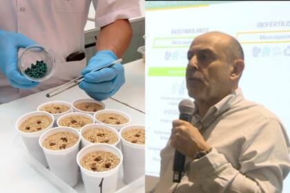 El especialista francés, Christophe Maquin, durante la jornada de la Cámara de Sanidad Agropecuaria y Fertilizantes (Casafe)