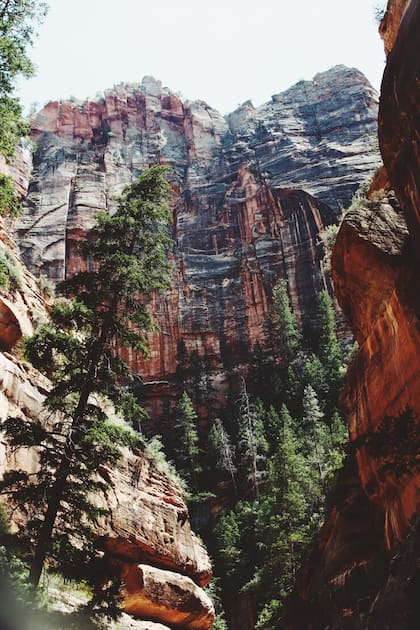 El espectacular Zion Canyon fue formado por el río Virgin, que sigue fluyendo y esculpiendo el paisaje hoy en día