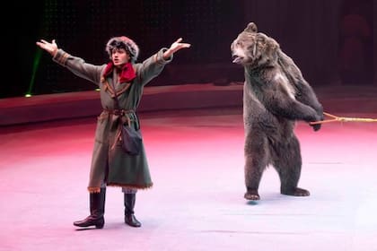 El espectáculo cuenta con una familia de osos adiestrados