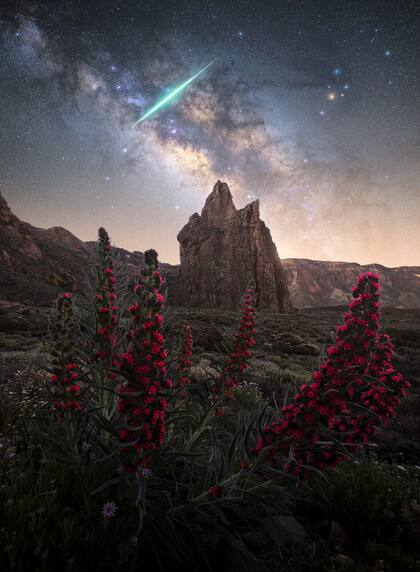 “El espectáculo de luces de la catedral”, de la ucraniana Roksolyana Hilevych; "Fue la primera y única vez que vi un meteoro tan brillante. Iluminó todo a su alrededor, haciendo que pareciera que es de día durante unos segundos"
