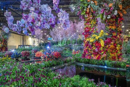 El espectáculo también tendrá su lado nocturno con “Flores Fuera del Horario Laboral”, una serie de eventos especiales que invitan a recorrer las exhibiciones en un ambiente más relajado y festivo. Foto: visitphilly.
