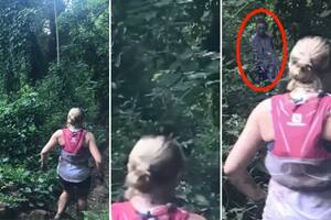 El "espectro" que se le apareció en el bosque