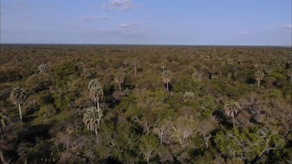 El Espinal, la región en donde se proyectó el Parque Nacional Selva de Montiel