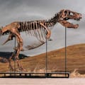 Quevedo y el dinosaurio